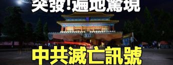 [ID: 9nP_jfB84OQ] Youtube Automatic