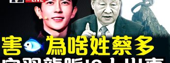 私密：[ID: DPq-SfyNJWY] Youtube Automatic