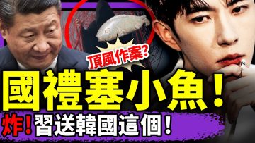 [ID: KlQKJ6tTJ0U] Youtube Automatic