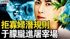 [ID: nnLZh1IhoLw] Youtube Automatic