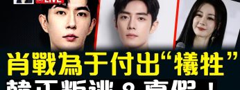 [ID: LXb0DHZN2GI] Youtube Automatic