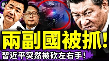 私密：[ID: ExiRs3jpeQU] Youtube Automatic