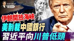 [ID: lIurkP8W5cE] Youtube Automatic