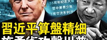 私密：[ID: mQtMPKzjj6w] Youtube Automatic