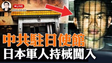 私密：[ID: TDFTN4CnMrk] Youtube Automatic