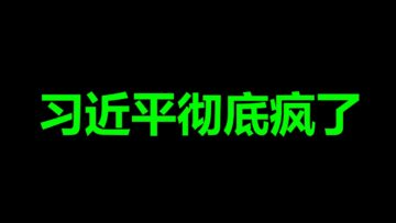 [ID: CTDOdqu8zCg] Youtube Automatic