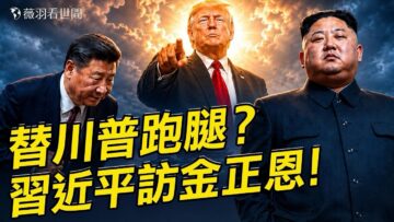 私密：[ID: E2jQNSF2Y2E] Youtube Automatic